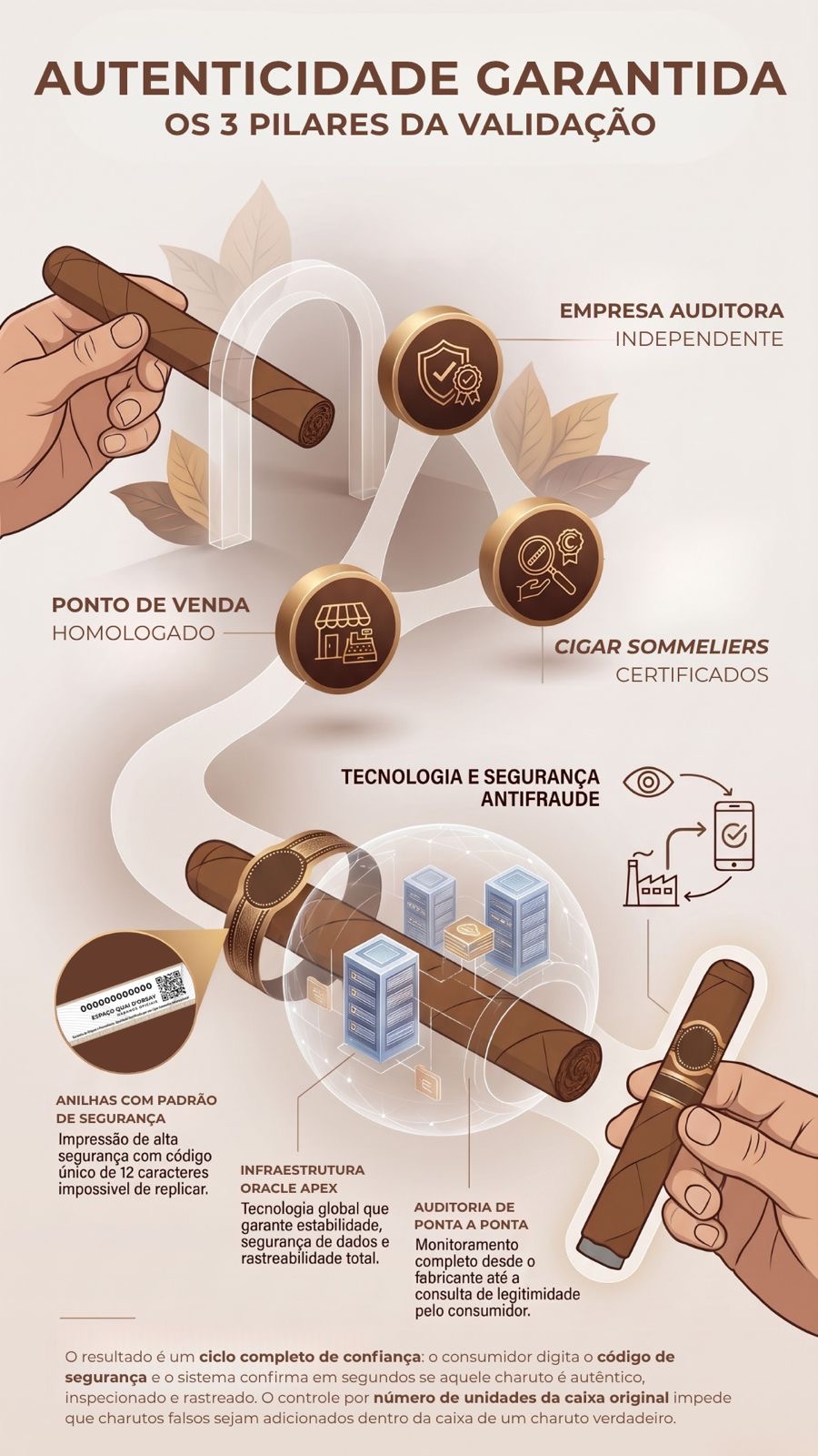 Infográfico do Processo de Validação